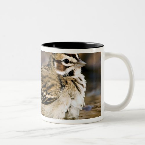 USA Texas Rio Grande Valley McAllen 2 Two_Tone Coffee Mug