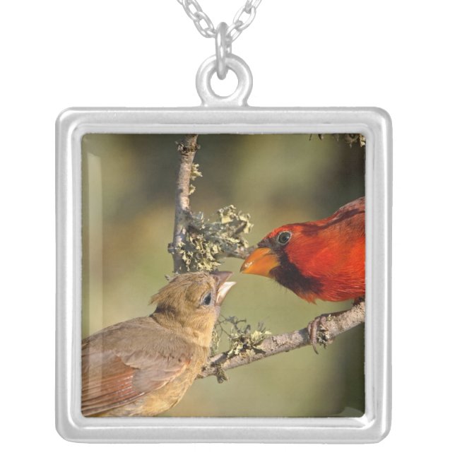 USA, Texas, Rio Grande Valley, McAllen. Mated Silver Plated Necklace (Front)