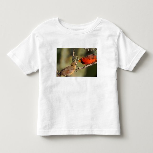 USA, Texas, Rio Grande Valley, McAllen. Mated Toddler T-shirt (Front)