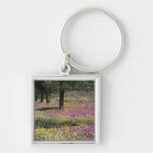 USA, Texas, Sand Verbena and Brown-eyed Keychain
