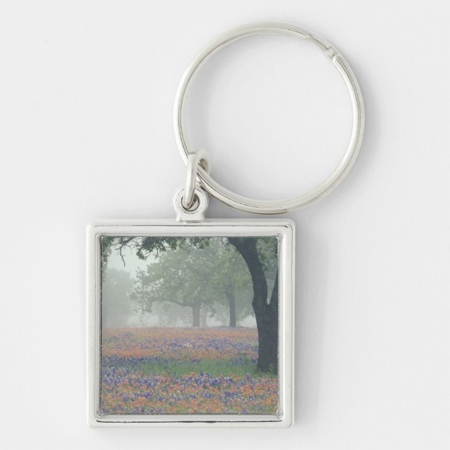 USA, Texas. Texas paintbrush and bluebonnets Keychain (Front)