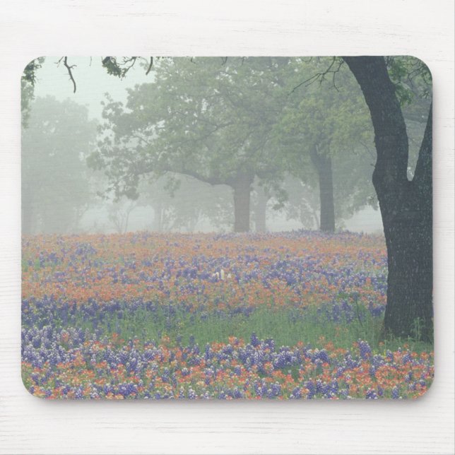USA, Texas. Texas paintbrush and bluebonnets Mouse Pad (Front)