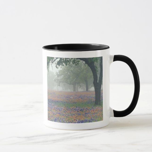 USA, Texas. Texas paintbrush and bluebonnets Mug (Right)