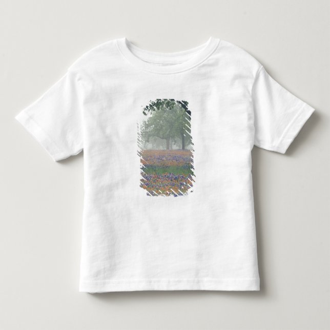 USA, Texas. Texas paintbrush and bluebonnets Toddler T-shirt (Front)