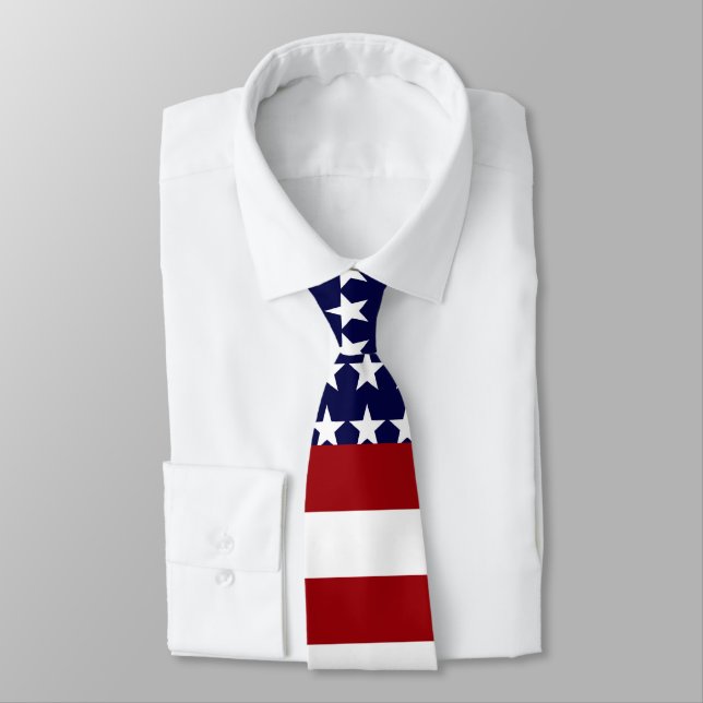 USA theme Neck Tie (Tied)