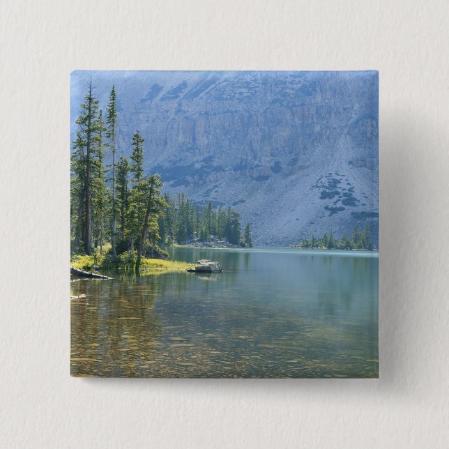 USA, Utah, Ashley National Forest, High Uintas Button (Front)