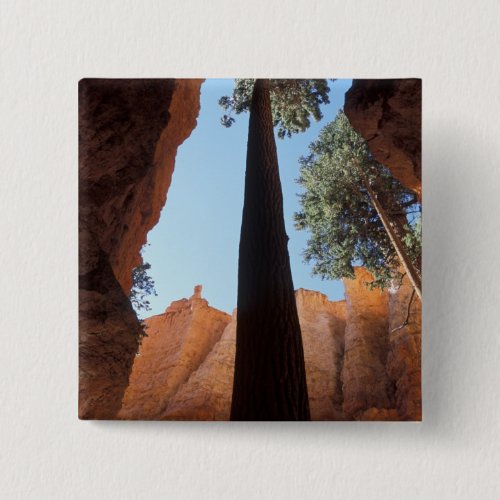 USA Utah Bryce Canyon National Park Tall Button