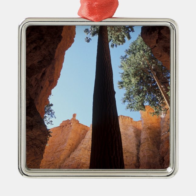 USA, Utah, Bryce Canyon National Park. Tall Metal Ornament (Front)