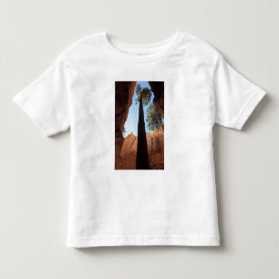 USA, Utah, Bryce Canyon National Park. Tall Toddler T-shirt