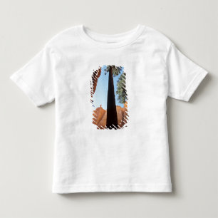 USA, Utah, Bryce Canyon National Park. Tall Toddler T-shirt