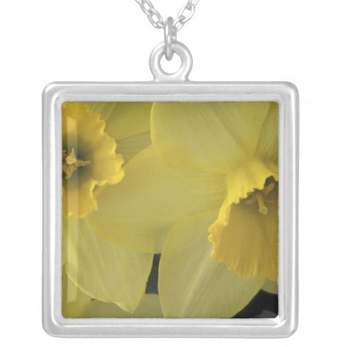 USA Utah Cache Valley Daffodils Silver Plated Necklace