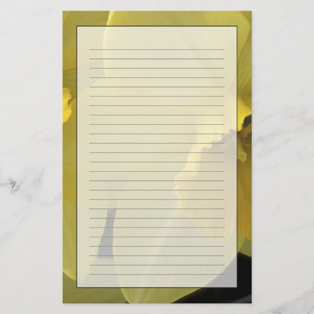 USA, Utah, Cache Valley Daffodils Stationery (Front)
