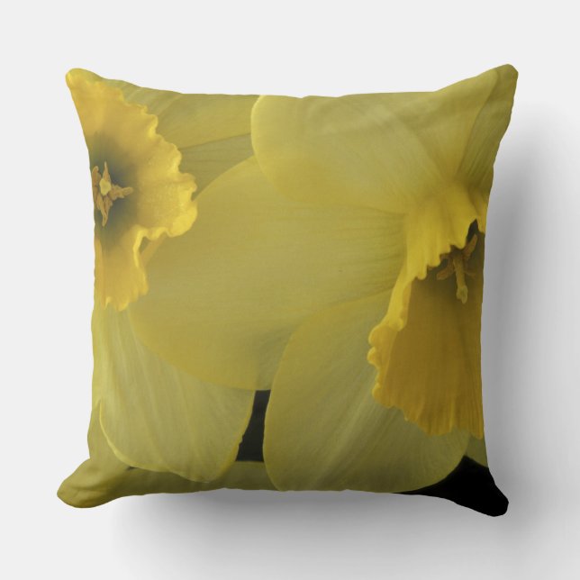 USA, Utah, Cache Valley Daffodils Throw Pillow (Front)