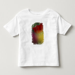 USA, Utah, Cache Valley Tulips in a garden Toddler T-shirt