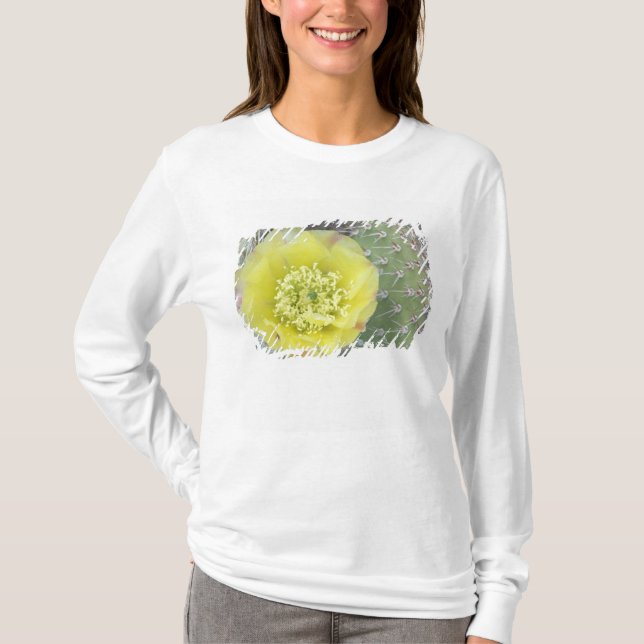 USA, Utah, Canyonlands, NP, Desert Prickly Pear T-Shirt (Front)
