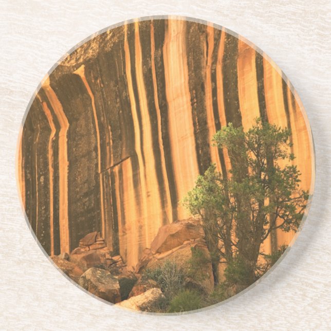 USA, Utah, Capitol Reef National Park Coaster (Front)