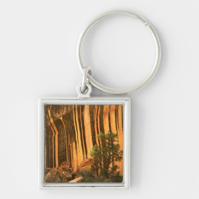 USA, Utah, Capitol Reef National Park Keychain (Front)
