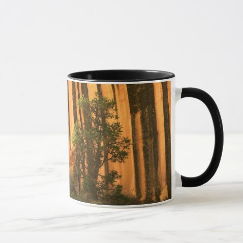 USA Utah Capitol Reef National Park Mug