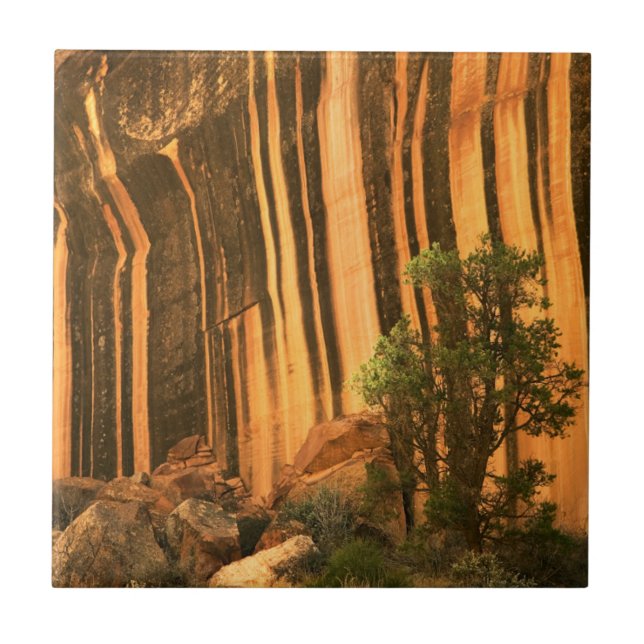 USA, Utah, Capitol Reef National Park Tile (Front)