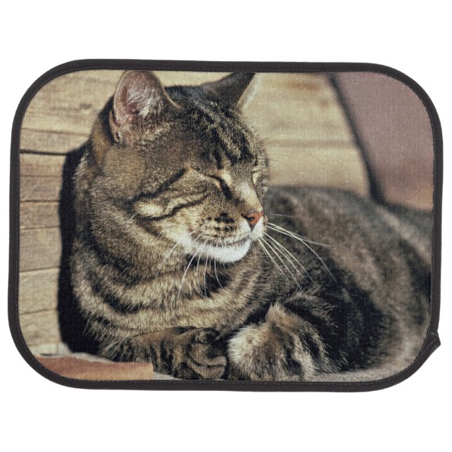 USA, Utah, Capitol Reef NP. Sleeping tabby cat Car Mat (Rear)