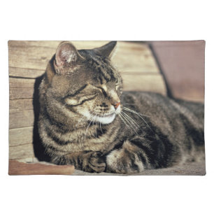 USA, Utah, Capitol Reef NP. Sleeping tabby cat Cloth Placemat