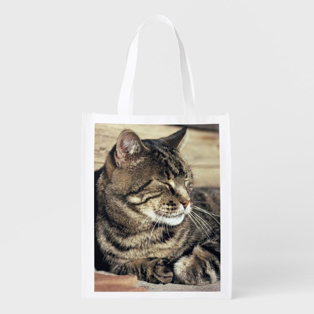USA, Utah, Capitol Reef NP. Sleeping tabby cat Grocery Bag (Front)