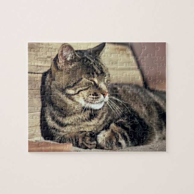 USA, Utah, Capitol Reef NP. Sleeping tabby cat Jigsaw Puzzle (Horizontal)