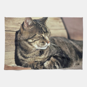 USA, Utah, Capitol Reef NP. Sleeping tabby cat Towel