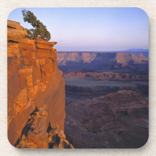 USA, Utah, Dead Horse Point SP. Late light turns Drink Coaster