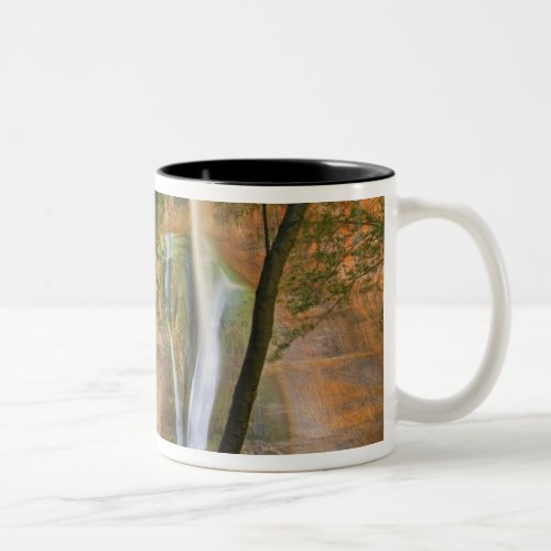 USA Utah Escalante Wilderness A view of Two_Tone Coffee Mug