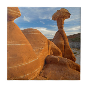 USA, Utah, Grand Staircase Escalante-National Tile