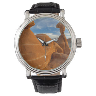 USA, Utah, Grand Staircase Escalante-National Watch