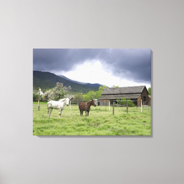 USA, Utah, Horses on ranch Canvas Print (Front)