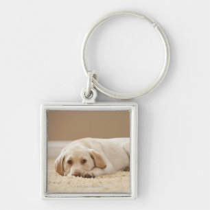 USA, Utah, Lehi, Portrait of Yellow Labrador Keychain