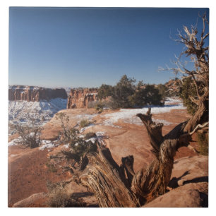 USA, Utah, Moab. Canyonlands National Park, Ceramic Tile