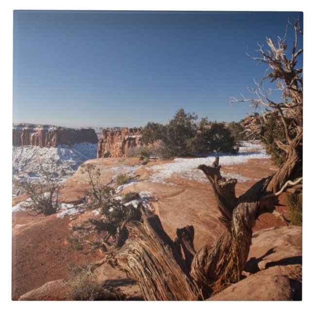USA, Utah, Moab. Canyonlands National Park, Ceramic Tile (Front)