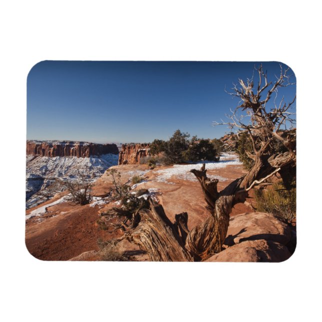 USA, Utah, Moab. Canyonlands National Park, Magnet (Horizontal)