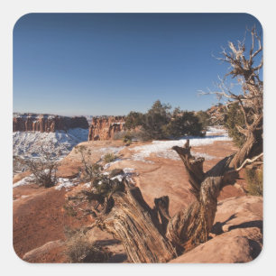 USA, Utah, Moab. Canyonlands National Park, Square Sticker