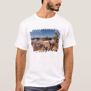 USA, Utah, Moab. Canyonlands National Park, T-Shirt