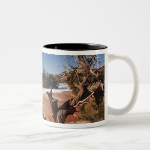 USA, Utah, Moab. Canyonlands National Park, Two-Tone Coffee Mug
