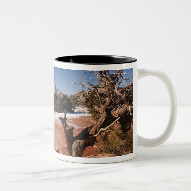 USA, Utah, Moab. Canyonlands National Park, Two-Tone Coffee Mug (Right)