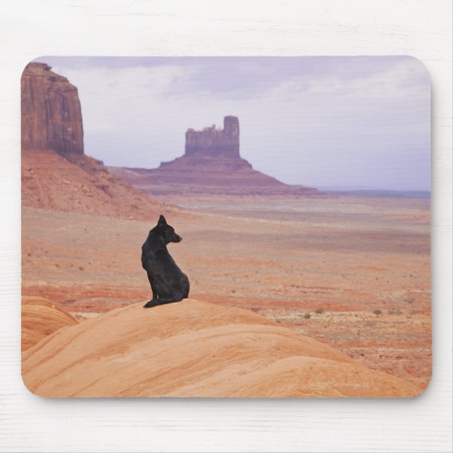 USA, Utah, Monument Valley, Dog sitting on rock Mouse Pad (Front)