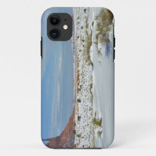 USA, Utah, Monument Valley. Sagebrush shows iPhone 11 Case