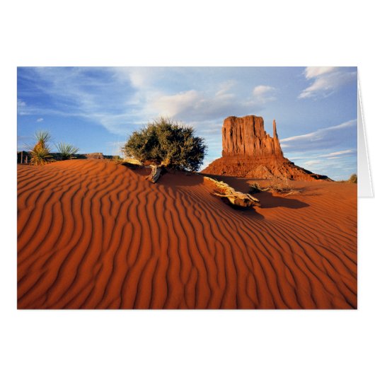 USA, Utah, Monument Valley. Wind creates Cards (Front Horizontal)