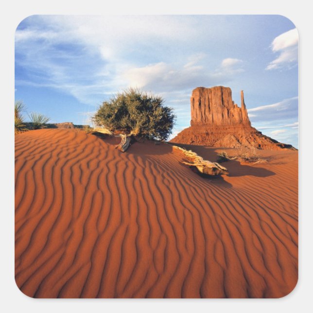 USA, Utah, Monument Valley. Wind creates Square Sticker (Front)
