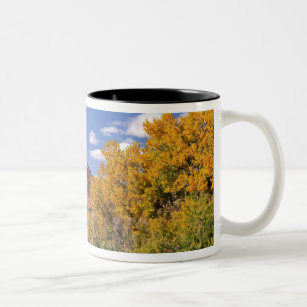 USA, Utah, near Canyonlands National Park on Two-Tone Coffee Mug