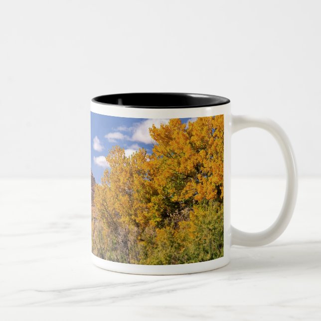 USA, Utah, near Canyonlands National Park on Two-Tone Coffee Mug (Right)
