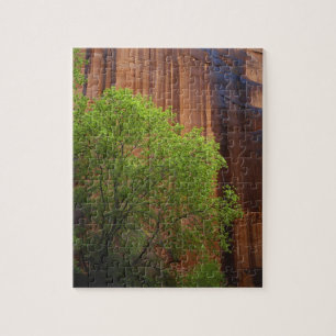 USA, Utah, Paria Canyon- Vermillion Cliffs Jigsaw Puzzle