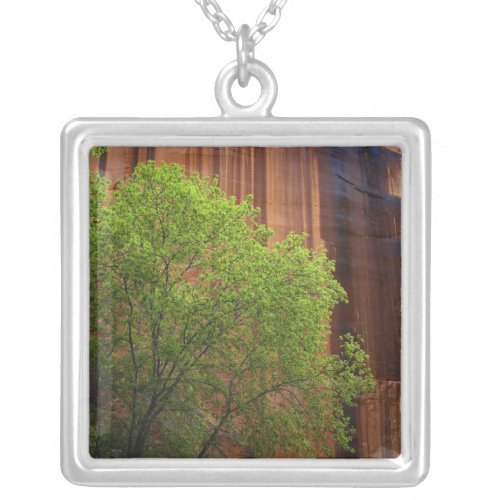 USA Utah Paria Canyon_ Vermillion Cliffs Silver Plated Necklace