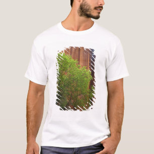 USA, Utah, Paria Canyon- Vermillion Cliffs T-Shirt
